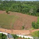 Bán đất sào view suối Ea Tiêu, Đắk Lắk, 1 tỷ 840 - Ảnh thu nhỏ 2