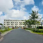 Bán nền 120m2 Khu dân cư Nam Long 2, Cần Thơ - Ảnh thu nhỏ 2