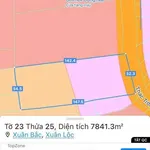 Bán lô đất 7.800 m² trục chính Đồng Nai 30 tỷ - Ảnh thu nhỏ 1