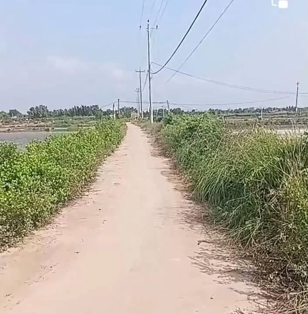 Bán đất 8500m² tại Ba Tri, Bến Tre giá 1 tỷ 20 triệu