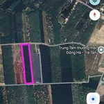 Bán đất Trà Tân Lâm Đồng mặt tiền 60m, 1 mẫu 4.5 tỷ - Ảnh thu nhỏ 1