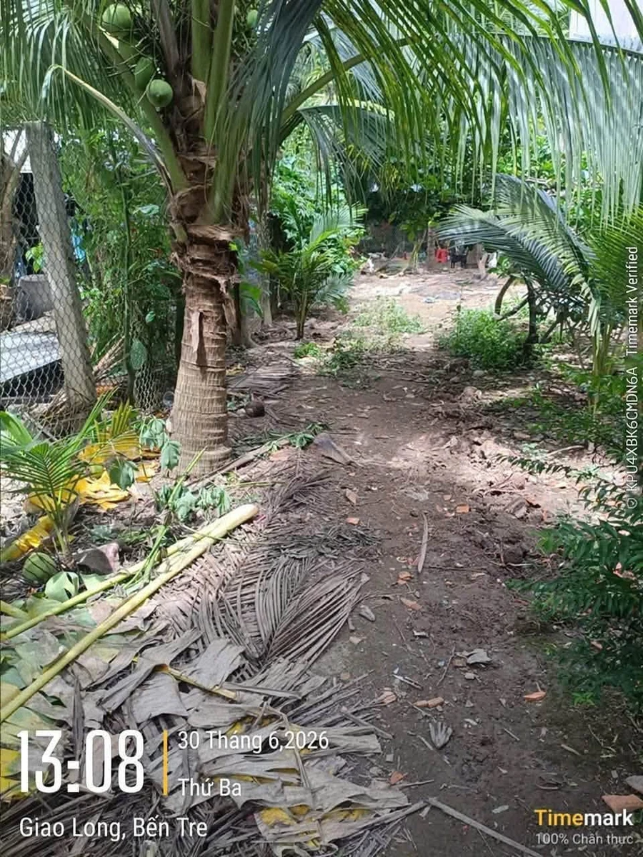 Bán đất 2000m² gần Trạm Y Tế An Phước Củ Chi - Ảnh thu nhỏ 2