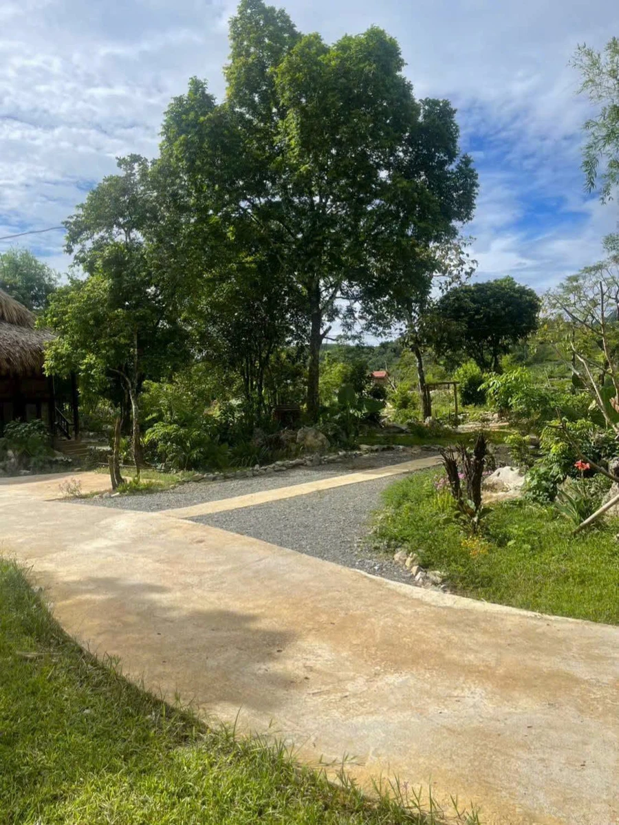 Bán homestay 2.600m2 view núi Tân Lạc Hòa Bình - Ảnh thu nhỏ 4