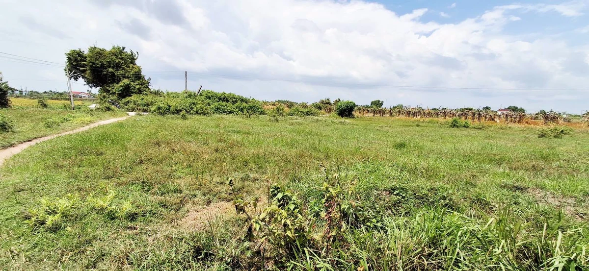 Bán đất cây trồng 900m² 2 mặt tiền Hàm Liêm - Ảnh thu nhỏ 3