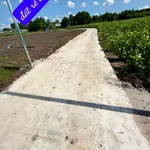 Bán đất thổ cư 127m2 xã Láng Dài, Bà Rịa - Vũng Tàu, 350 triệu - Ảnh thu nhỏ 2