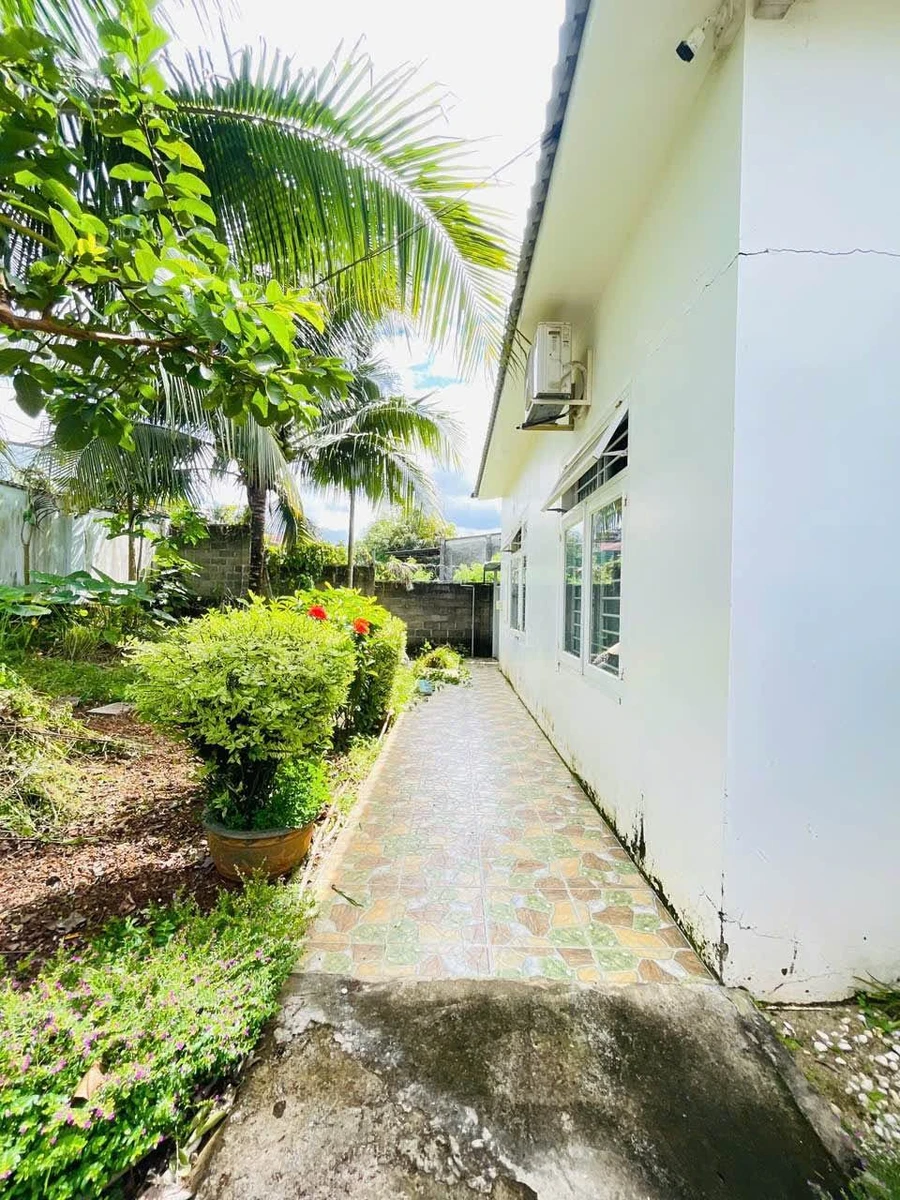 Nhà vườn mái Nhật Tạ Quang Bửu, 200m², 4PN, 5.6 tỷ - Ảnh thu nhỏ 5
