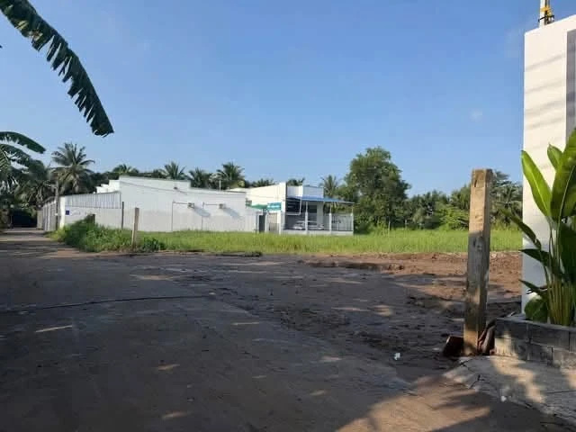 Bán nền đất 350m² Lộ Triền Đồng Phường Phú Tân Bến Tre - Ảnh thu nhỏ 4