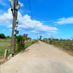 Bán đất Cẩm Kim Hội An 8x47m mặt tiền 3xx triệu - Ảnh thu nhỏ 2