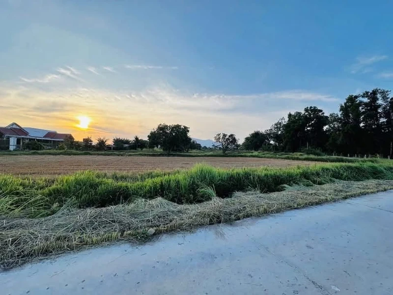 Bán lô đất 1000m2 tại Xã Hàm Liêm, Lâm Đồng