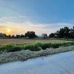 Bán lô đất 1000m2 tại Xã Hàm Liêm, Lâm Đồng - Ảnh thu nhỏ 1