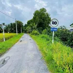 Bán đất thổ cư 216m² Bình Phan, Chợ Gạo, Tiền Giang cũ giá 280 triệu - Ảnh thu nhỏ 1