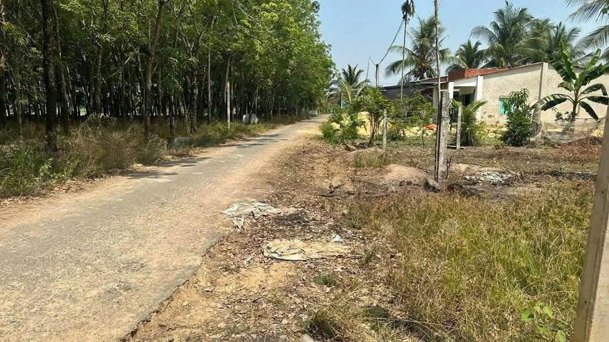 Bán đất mặt tiền 5x32x50m Tây Ninh 255 triệu - Ảnh 1