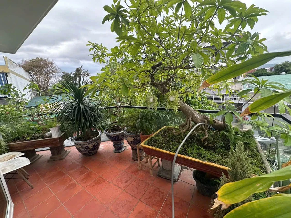 Bán nhà góc mặt tiền 88.9m² 3 tầng ở Nha Trang, giá 9.99 tỷ - Ảnh thu nhỏ 4