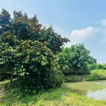 Bán nhà vườn 2335m2 với hồ bơi, Đồng Nai - Ảnh thu nhỏ 4