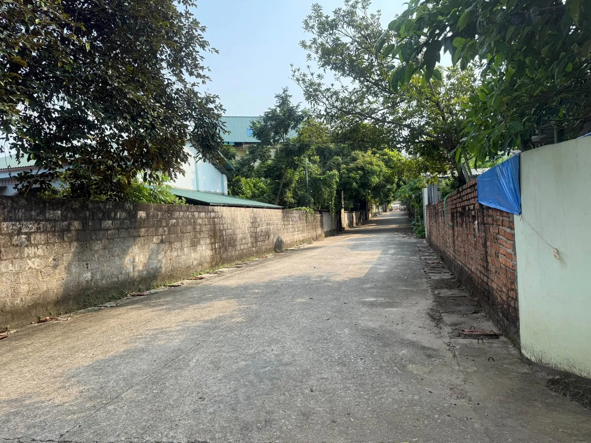 Bán đất 100m² Cẩm Đội Thuỵ Vân sát chợ Sheshin - Ảnh thu nhỏ 3