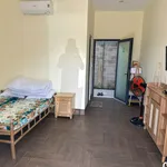 Bán Homestay Nhà Vườn 3750m² Phan Thiết 10 Tỷ 800 Triệu - Ảnh thu nhỏ 3