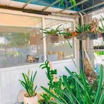 Bán nhà góc 2 mặt tiền 88m² kinh doanh homestay Lê Quý Đôn Huế - Ảnh thu nhỏ 4