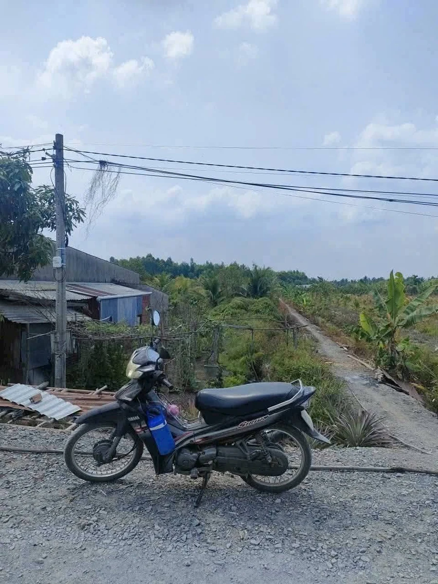 Bán đất thổ vườn mặt tiền sông Vàm Cỏ Đông, 2.363m2, giá 4 tỷ, xã Thạnh Lợi, Tây Ninh - Ảnh thu nhỏ 2