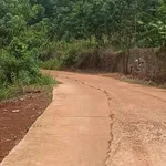 Bán lô đất vườn 4 sào gần Bình Long, Bình Phước - Ảnh thu nhỏ 2
