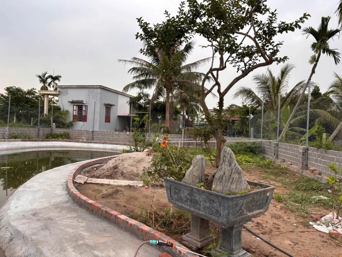 Nhà vườn bán 1000m² Tư Thuỷ, Nhà Bè 4,25 tỷ - Ảnh thu nhỏ 4