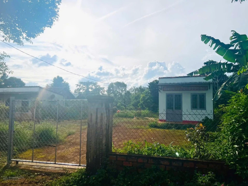 350m2 sẵn thổ 100m2, Thành phố Pleiku, nhà cấp 4 sẵn, nở hậu 15m, 990 triệu - Ảnh thu nhỏ 5