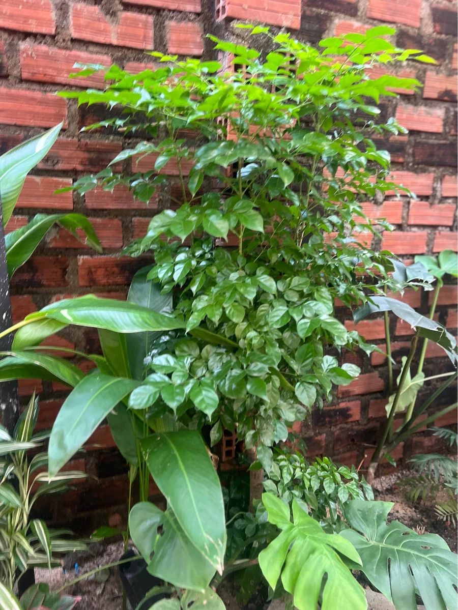 Bán đất mặt tiền đường Hùng Vương, Quy Nhơn, 500m² - Ảnh 1