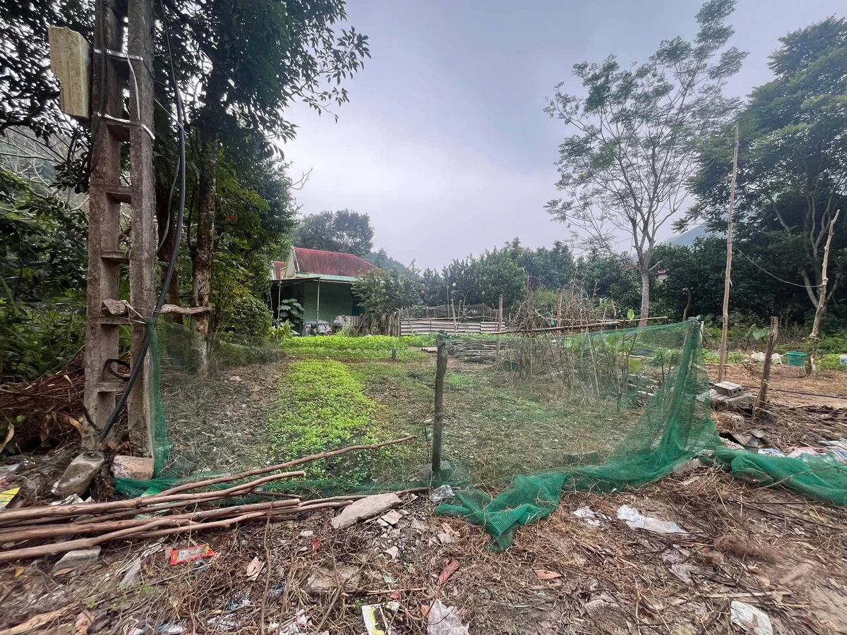 Bán lô đất 800m² gần QL 37 Lương Thịnh, Lào Cai - Ảnh thu nhỏ 3
