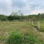 Bán đất thổ cư 158m2 mặt tiền đường 762, xã An Nhơn Tây, Củ Chi - Ảnh thu nhỏ 3