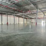 Bán 30.000m² đất KCN Long Thành Đồng Nai, 180USD/m² - Ảnh thu nhỏ 3