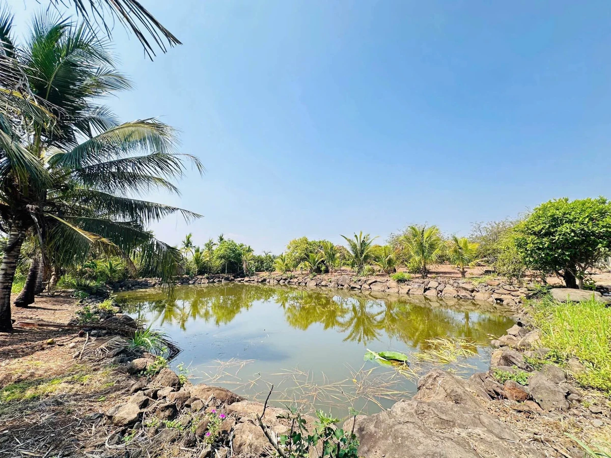 Bán đất vườn 6,4 sào view ruộng Hoà Khánh Bà Rịa 3,99 tỷ - Ảnh thu nhỏ 2