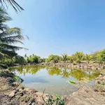 Bán đất vườn 6,4 sào view ruộng Hoà Khánh Bà Rịa 3,99 tỷ - Ảnh thu nhỏ 2