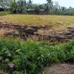 Bán đất vườn 500 m² Tây Đức Hòa giáp kênh - Ảnh thu nhỏ 4