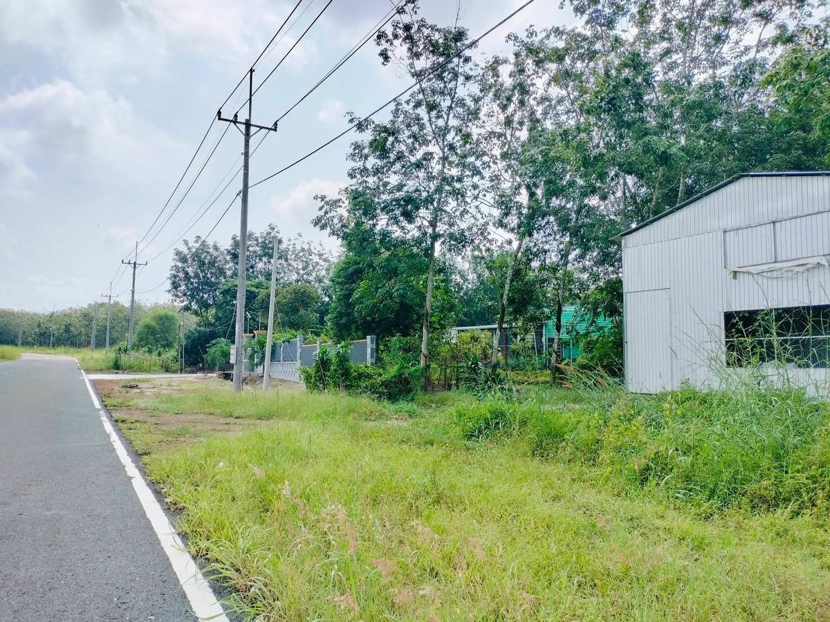 Bán vườn mít 1 sào 1020m² Bình Phước 280 triệu - Ảnh 1