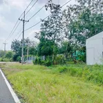 Bán vườn mít 1 sào 1020m² Bình Phước 280 triệu - Ảnh thu nhỏ 1
