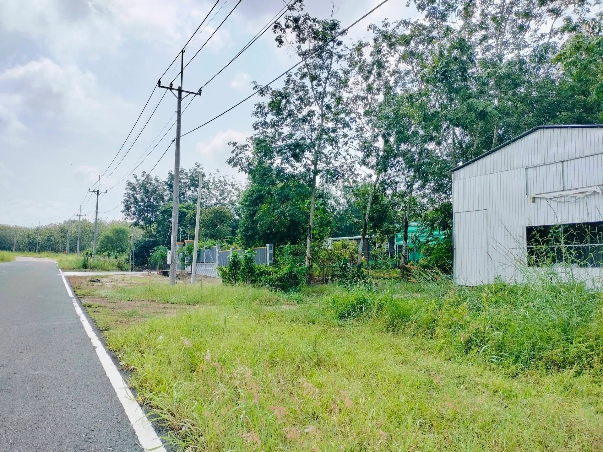 Bán vườn mít 1 sào 1020m² Bình Phước 280 triệu - Ảnh 1