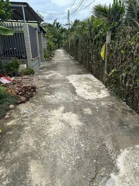 Bán nền đất Phú Tân Bến Tre 141m², 700 triệu - Ảnh thu nhỏ 3