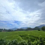 Bán đất 600m2 bám suối tại Đà Bắc, Hòa Bình 8xx triệu - Ảnh thu nhỏ 2
