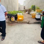 Bán đất mặt tiền 150m2 (5x30) thổ cư, phường Dĩ An, Bình Dương, giá 6,9 tỷ - Ảnh thu nhỏ 2