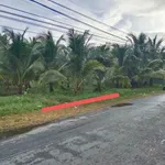 Bán 3 nền đất mặt tiền 128m² An Phước Bến Tre - Ảnh thu nhỏ 2