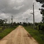 Diện tích lớn 1.4ha, có 500m2 thổ cư, đường ô tô, SHR, tại La Gi, thích hợp làm Homestay, phân lô - Ảnh thu nhỏ 7