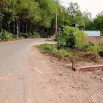 Bán lô đất thổ cư 5x38 đường thông Phú An, Bến Cát, Bình Dương giá 1,55 tỷ - Ảnh thu nhỏ 3