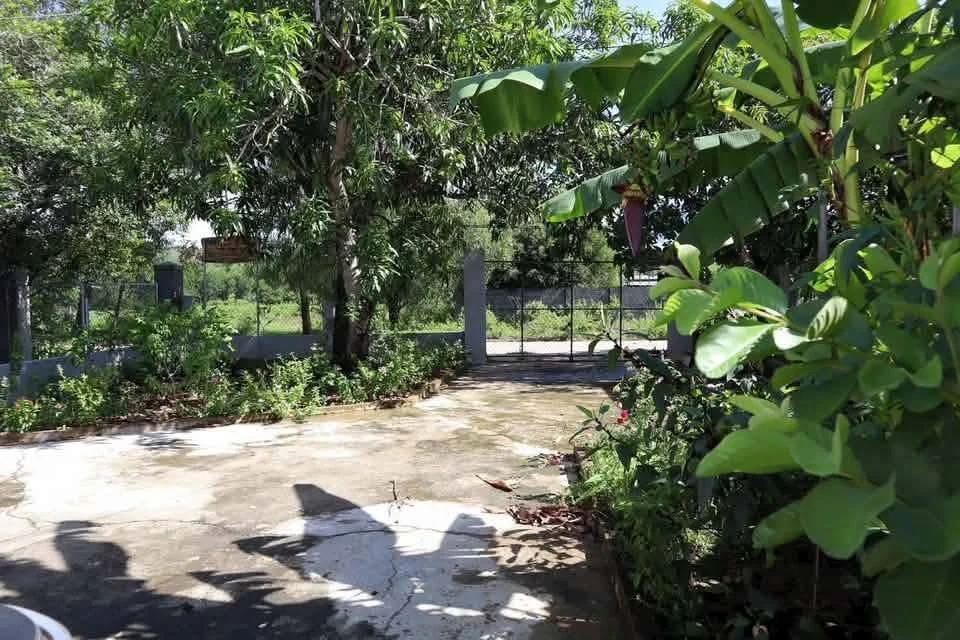 Bán farm Diên Đồng 611,5m² chỉ 1 tỷ 550 triệu - Ảnh thu nhỏ 3