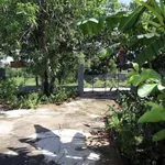 Bán farm Diên Đồng 611,5m² chỉ 1 tỷ 550 triệu - Ảnh thu nhỏ 3