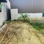 Bán lô đất 100,6m² 2 mặt tiền Vinh Lộc, Nghệ An - Ảnh thu nhỏ 4