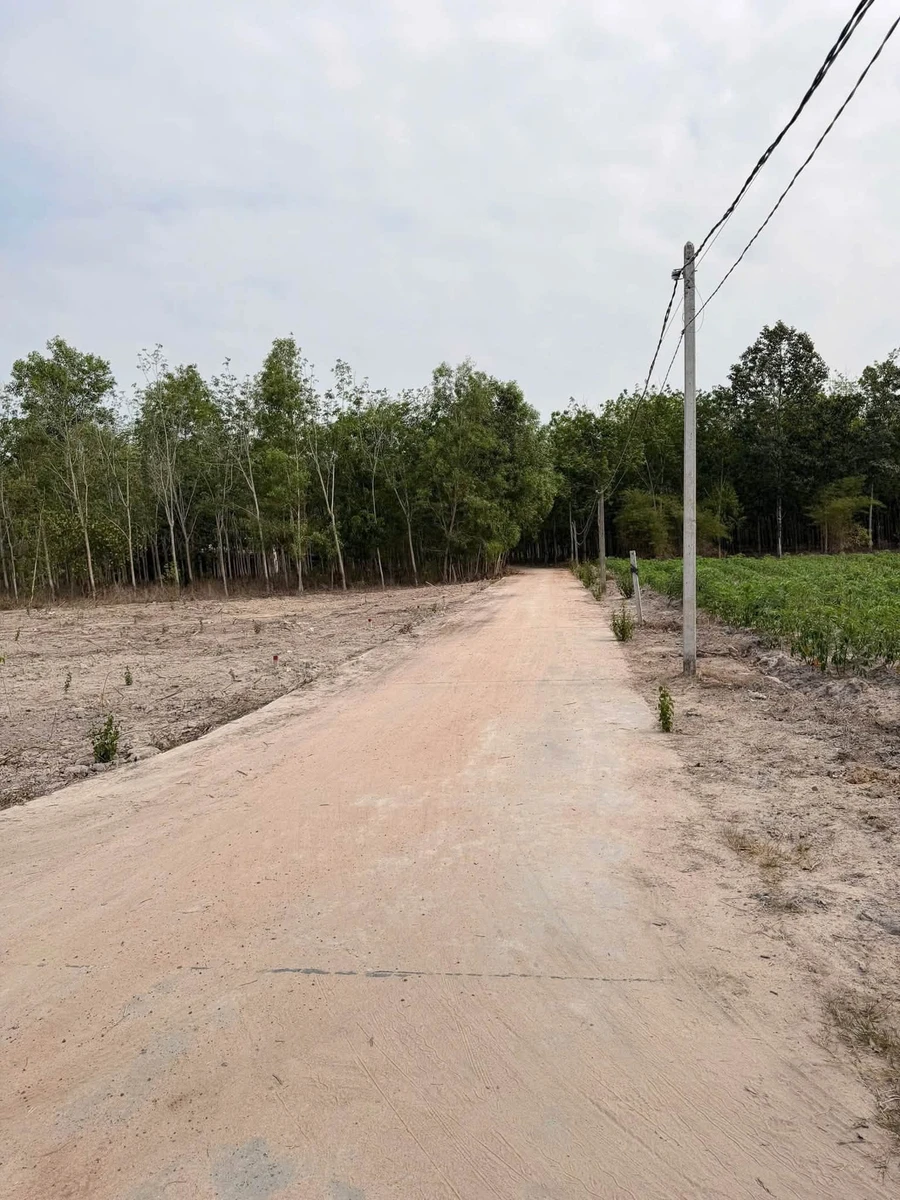 Bán đất 279m2 Nhánh DH01 Phường Minh Thành 330 triệu - Ảnh thu nhỏ 4