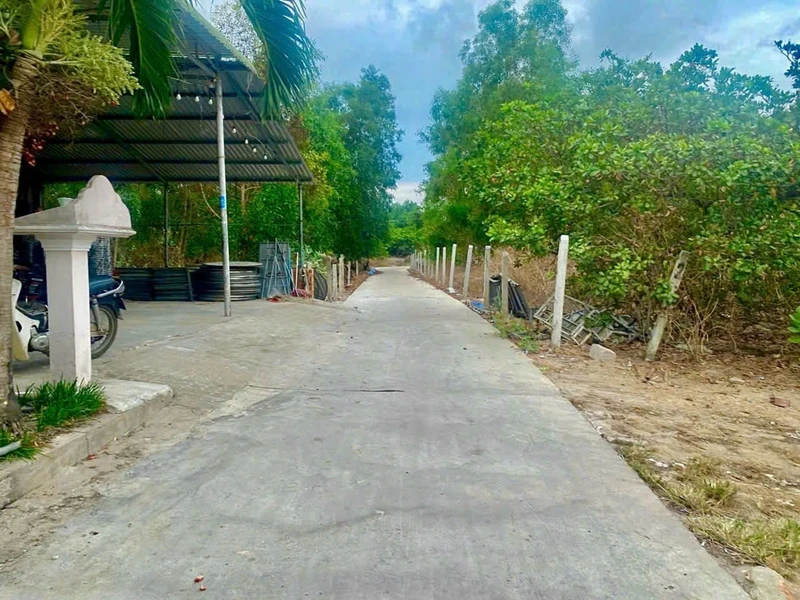 Bán đất 10x29m (292m²) Cam Bình LaGi Bình Thuận, gần biển, 1,6 tỷ