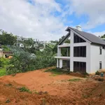 Bán quỹ đất 8000m2 Khe Sanh Đà Lạt 38 tỷ - Ảnh thu nhỏ 4