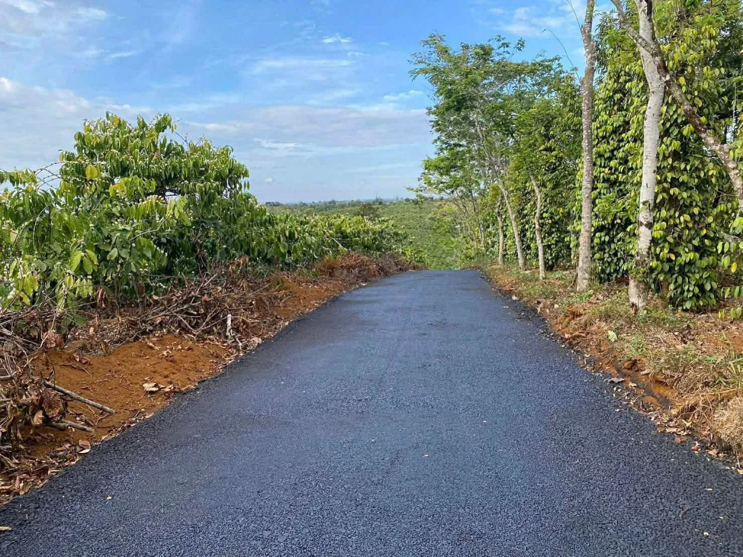 Bán đất nền Kiến Đức 174 m2 mặt đường nhựa - Ảnh 1