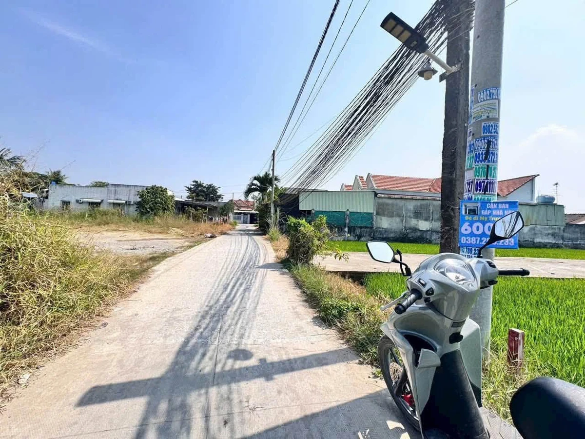Bán đất Đức Hòa Đông 215m² giá 1,19 tỷ - Ảnh thu nhỏ 2