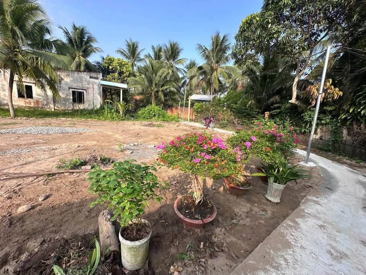 Bán đất biệt thự 417m² Hóc Môn, gần khu Phương Nam - Ảnh thu nhỏ 5